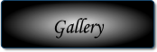 Gallery.